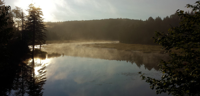 Nebel ber dem See 