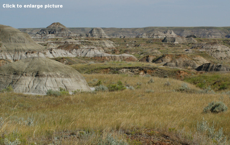 Overlooking the Dinosaur Provincial Park