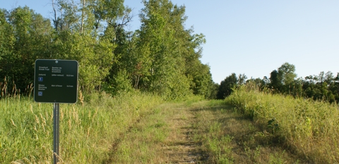 Crawford Creek Trail start