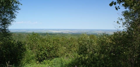 Riding Mountain Lookout