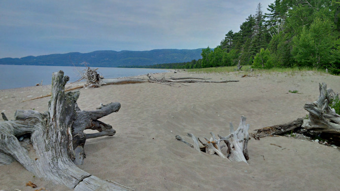 Agawa Bay beach sand and logs