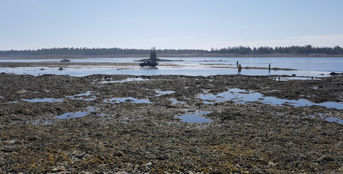 Rock Weed Famer at work on Ross Island