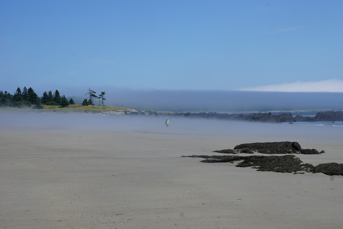 creeping fog on Sandy Cove