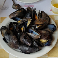 Mussles 