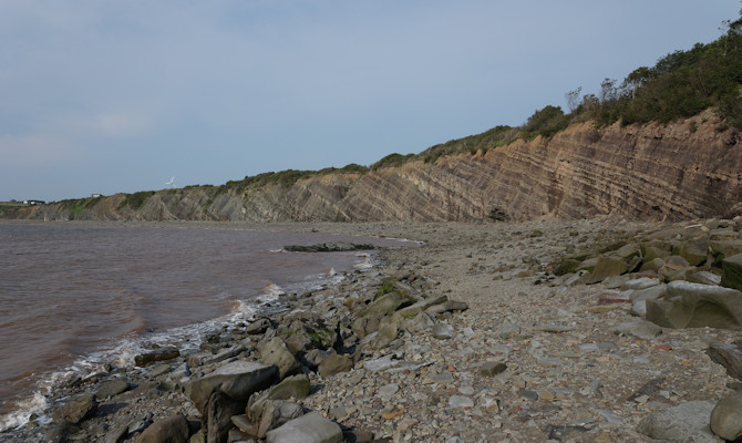 Joggins Fossil Cliff formation