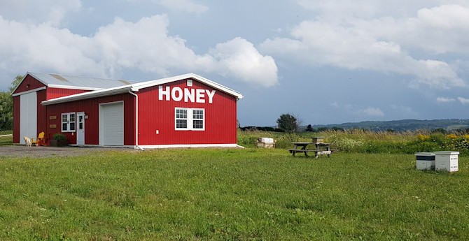 Wood'n'Hive Honey