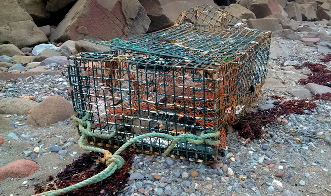 Beat up lobster trap 