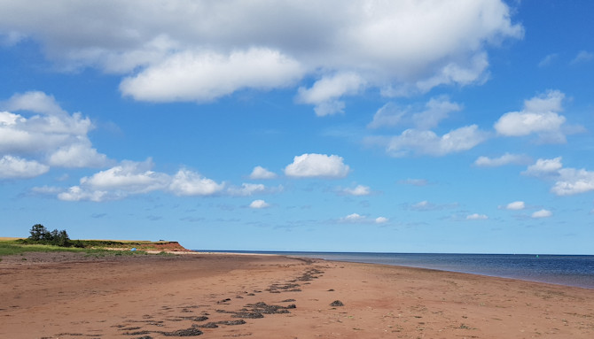 A sandy beach 