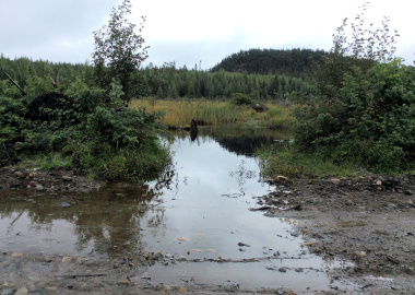 Barnet Lake Road muddy shoulder 