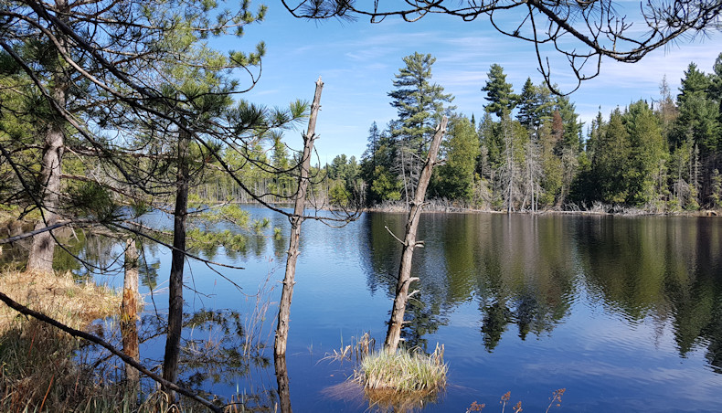 McLaren Road along lake 