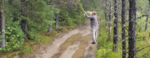 Esker Lakes clean up