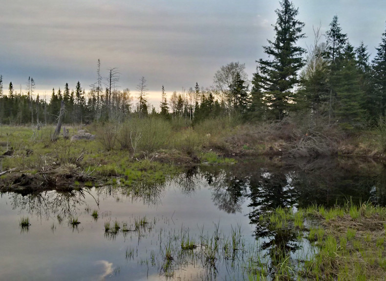 Rabbit Lake Road at dusk 