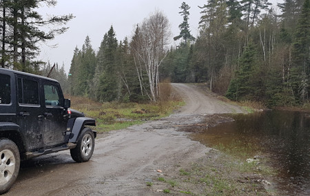 Pooling on Rabbit Lake Road