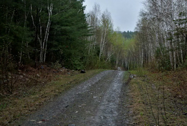 Along Rabbit Lake Road