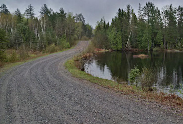 Along Rabbit Lake Road 