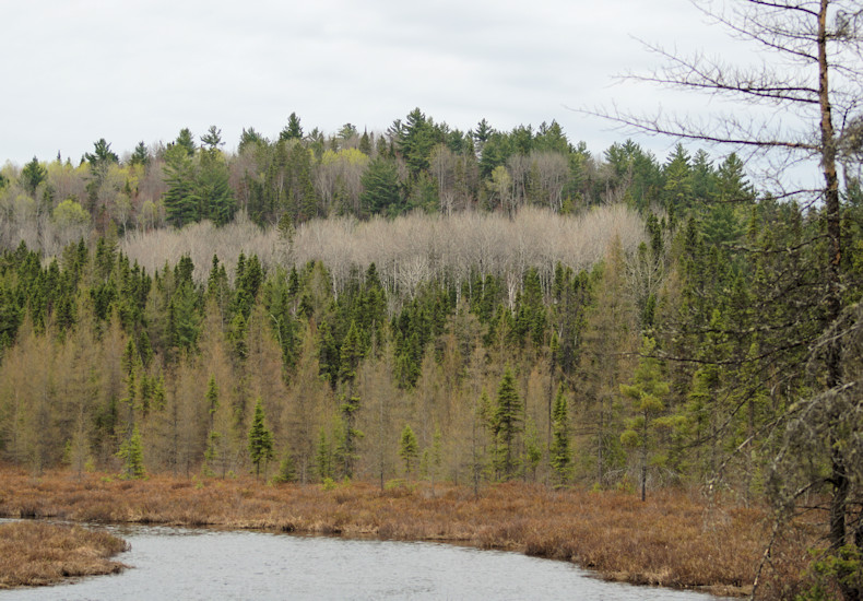 River along Red Squirrel Road 