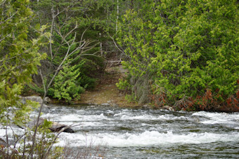 Trail out of the river