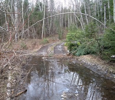 Side trail under water 