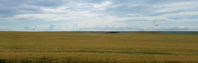 Fields around the Badlands