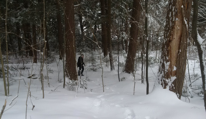 Track & Tower in Winter with snowshoes