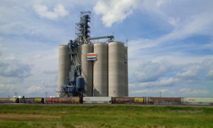Modern Grain Elevator 