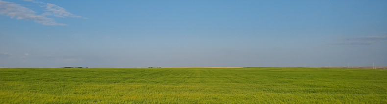 View in Saskatchewan 