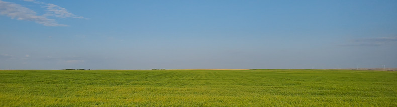 View in Saskatchewan 