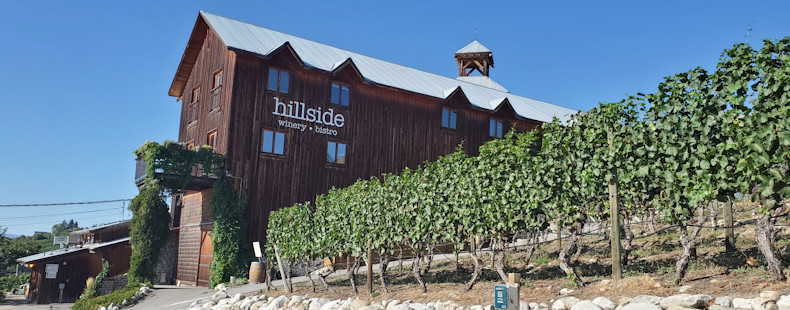 Hill Side winery 