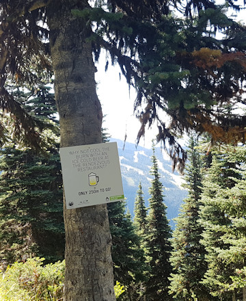 Blackcomb Ascent Trail close to the end 