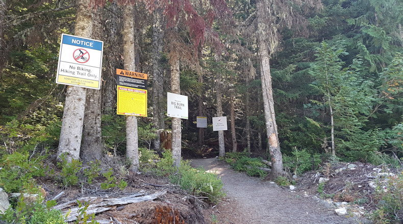 Blackcomb Ascent Trail warning signs