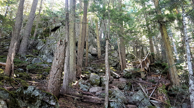 Blackcomb Ascent Trail stairs 