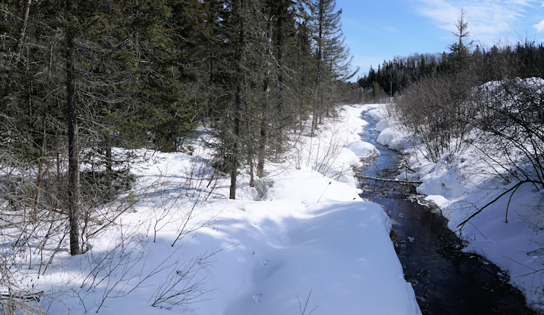 Tracks in snow along creek 