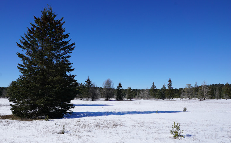 Algonquin Park Air Field in winter
