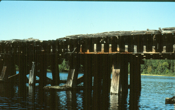 Cache Lake train bridge in 1992