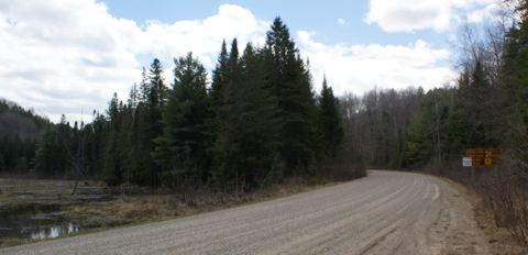 Coon Lake Camp access road