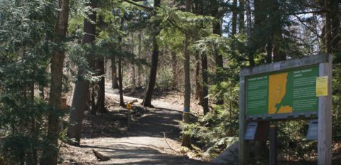 Hardwood Lookout trail head