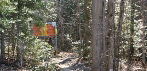 Mizzi Lake Trail Head