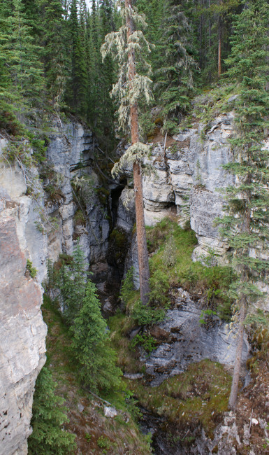 Small canyon on road to Maligne Lake