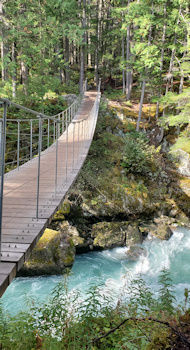 Suspension Bridge 