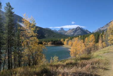 Fall colours in the Kananaskis 