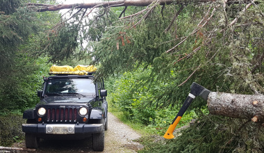 Trees may be blocking the path 