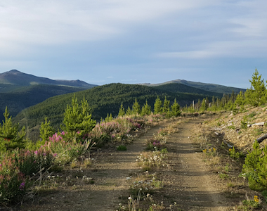 Trail to Poison Mountain 