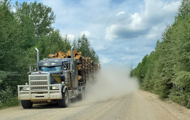 Truck with lumber 