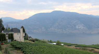 Pentâge wineyard 