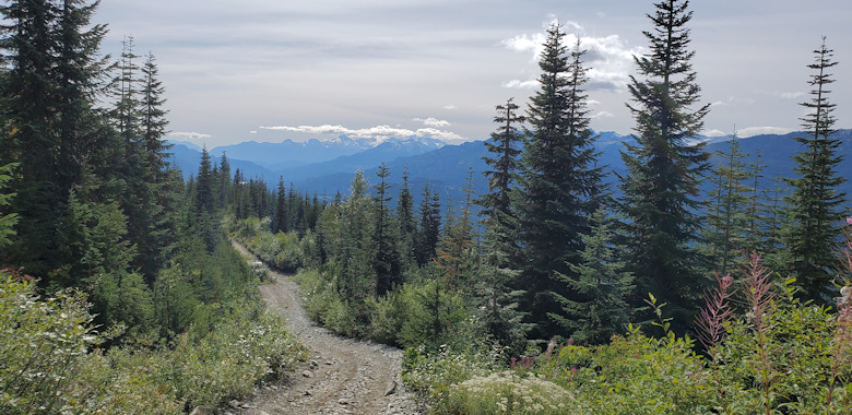 Trail after the mine 