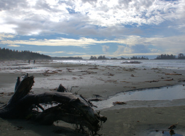 Tofino