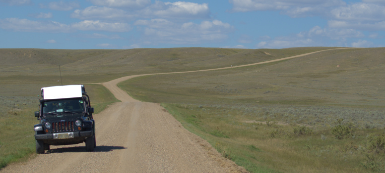 Road in Grasslands park 