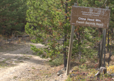 China Head Mountain Forest Service Road 