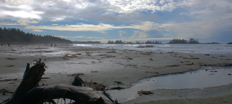 Tofino Beach 