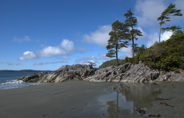 Tofino Tonquin Beach 